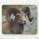 Search for ken mousepads Superstock