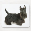 Search for scottish mousepads Scottie