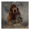 Search for irish setter posters Hunting dog