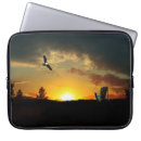 Search for meadows electronics Nature