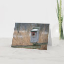 Search for danita delimont cards Bird