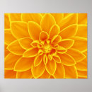 Search for bright yellow background posters Summer