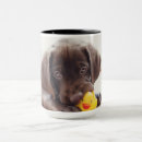 Search for chocolate labrador mugs Cute