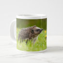 Search for hedgehog baby mugs Cute