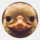 Search for beaks stickers Duck