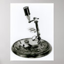Search for darwin posters Science