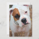 Search for boxer invitations Cute