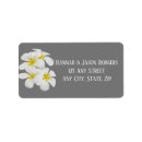 Search for plumeria return address labels Tropical flowers