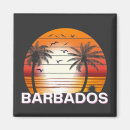 Search for barbados magnets Summer
