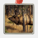 Search for yellowstone christmas tree decorations Montana
