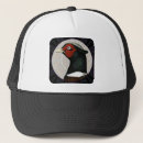 Search for fowl hats Poultry