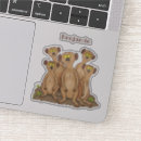 Search for critter cases Cartoon