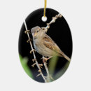 Search for little bird christmas tree decorations Nature