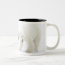 Search for 2 bears mugs Nature