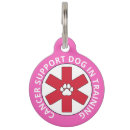 Search for dogs pet supplies Paw