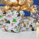 Search for sheltie wrapping paper Pets