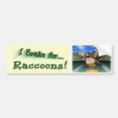 Search for raccoon bumper stickers Brake