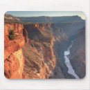 Search for extreme terrain electronics Majestic