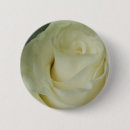 Search for white roses badges Flower