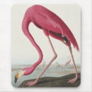 Search for bird drawing mousepads Pink flamingo