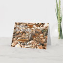 Search for cute chipmunk birthday cards Animals