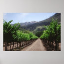 Search for winery photography Grapes