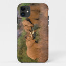 Search for kenya iphone cases Animal