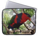 Search for lori electronics Bird