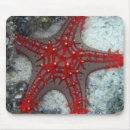 Search for coral reef mousepads Beach