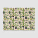 Search for pam House plant