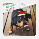 Search for dog pet memorial ornaments Memory