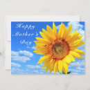Search for mamas cards Summer