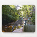 Search for creeks mousepads Nature