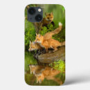 Search for wildlife ipad cases Danita delimont