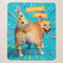 Search for corgi blankets Funny