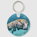 Search for manatee round key rings Ocean