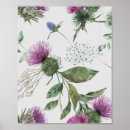 Search for scottish thistle posters Scotland