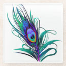 Search for peacock coasters Tropical
