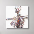 Search for lymphatic system posters Transparent