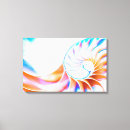 Search for nautilus canvas prints Seashell