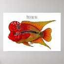 Search for cichlid art Fish