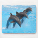 Search for jumping dolphin mousepads Marine