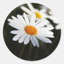 Search for flower images stickers Botany