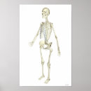Search for cage art Medical