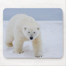 Search for carnivorous mousepads Predator
