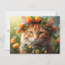 Search for kitty kid postcards Cat
