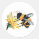 Search for pollen stickers Insect