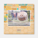 Search for hover magnets I can has cheezburger