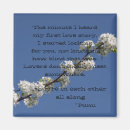 Search for minute magnets Quotes