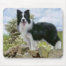 Search for border collie mousepads Puppies